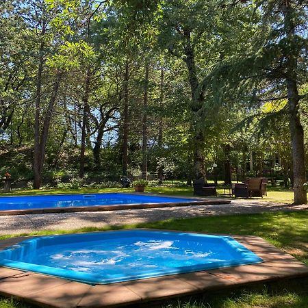 Agriturismo Villa Alari Cetona Ngoại thất bức ảnh