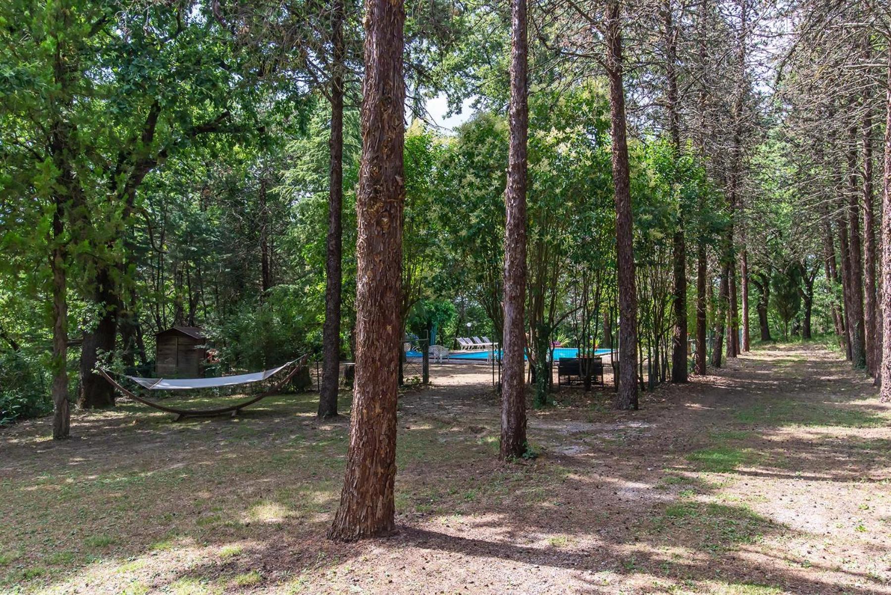 Agriturismo Villa Alari Cetona Ngoại thất bức ảnh