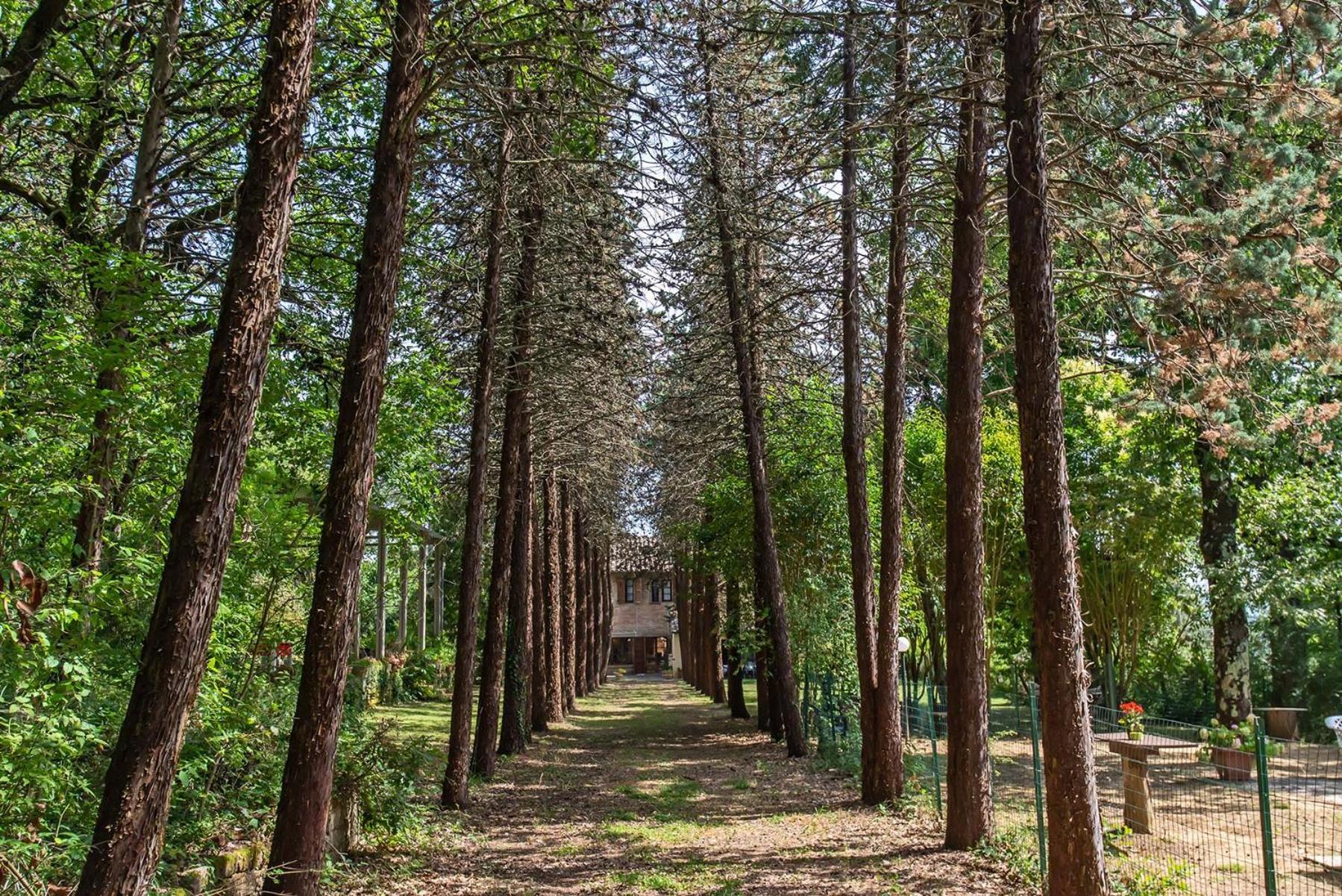 Agriturismo Villa Alari Cetona Ngoại thất bức ảnh